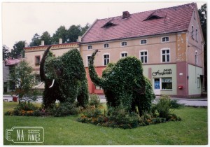 1999. Słonie w Radwanicach